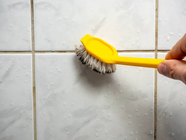Reliable West Falls Church, VA Mold Removal Solutions
