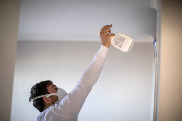 Crawl Space Mold Removal in West Falls Church, VA