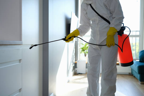 Water Damage Restoration in West Falls Church, VA