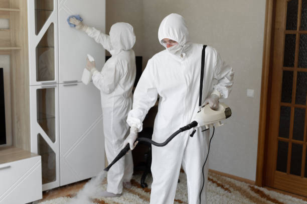 Best Commercial Mold Removal  in West Falls Church, VA
