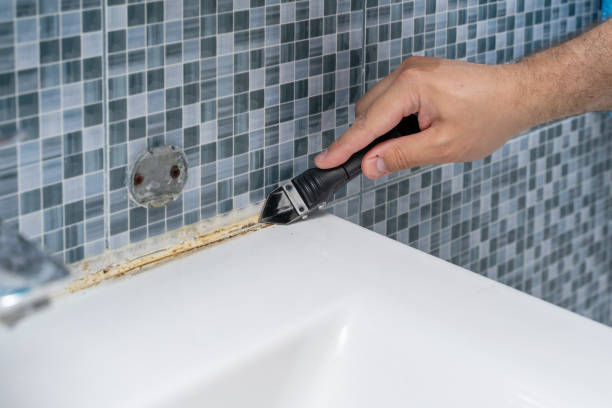 Best Mold Damage Repair  in West Falls Church, VA